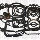 Triumph gasket